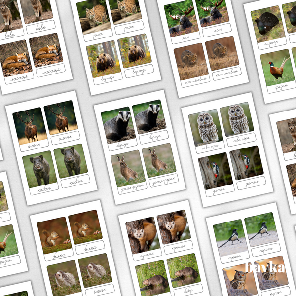 3-Part Montessori Cards Animals of the Forest