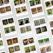 3-Part Montessori Cards Animals of the Forest