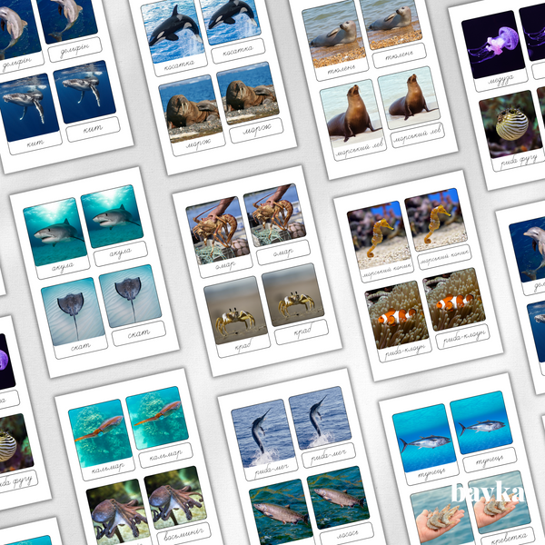 3-Part Montessori Cards Sea Animals