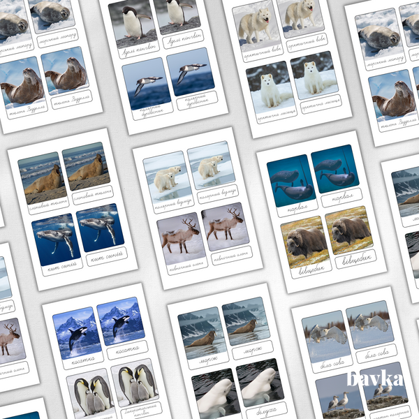 3-Part Montessori Cards in English Animals