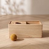 Montessori Imbucare Box With Sliding Lid (The Sliding Top Box) 45