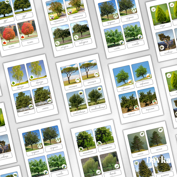 Montessori 3-Part Cards Trees