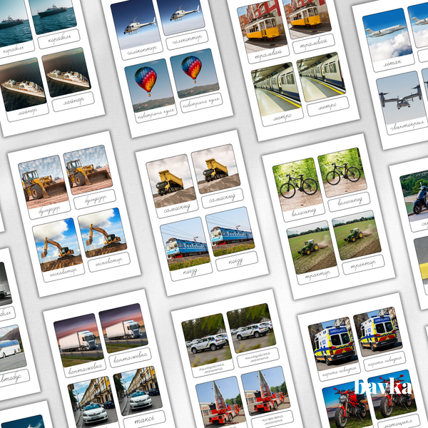 Montessori 3-Part Cards Transport