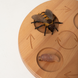 ZVERIKI Фігурки життєвий цикл Бджоли