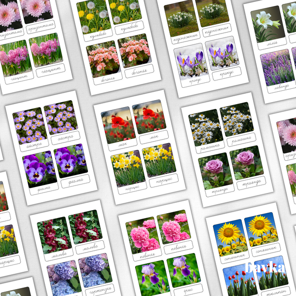 Montessori 3-Part Cards Flowers