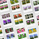 Montessori 3-Part Cards Flowers