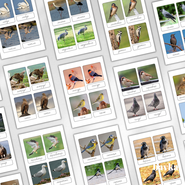 Montessori 3-Part Cards Birds