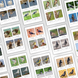 Montessori 3-Part Cards Birds