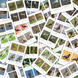 Montessori 3-Part Cards Birds