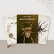 Spider Unit Study Printables Worksheets Life Cycle Pack