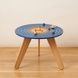Montessori Solar System Table 212