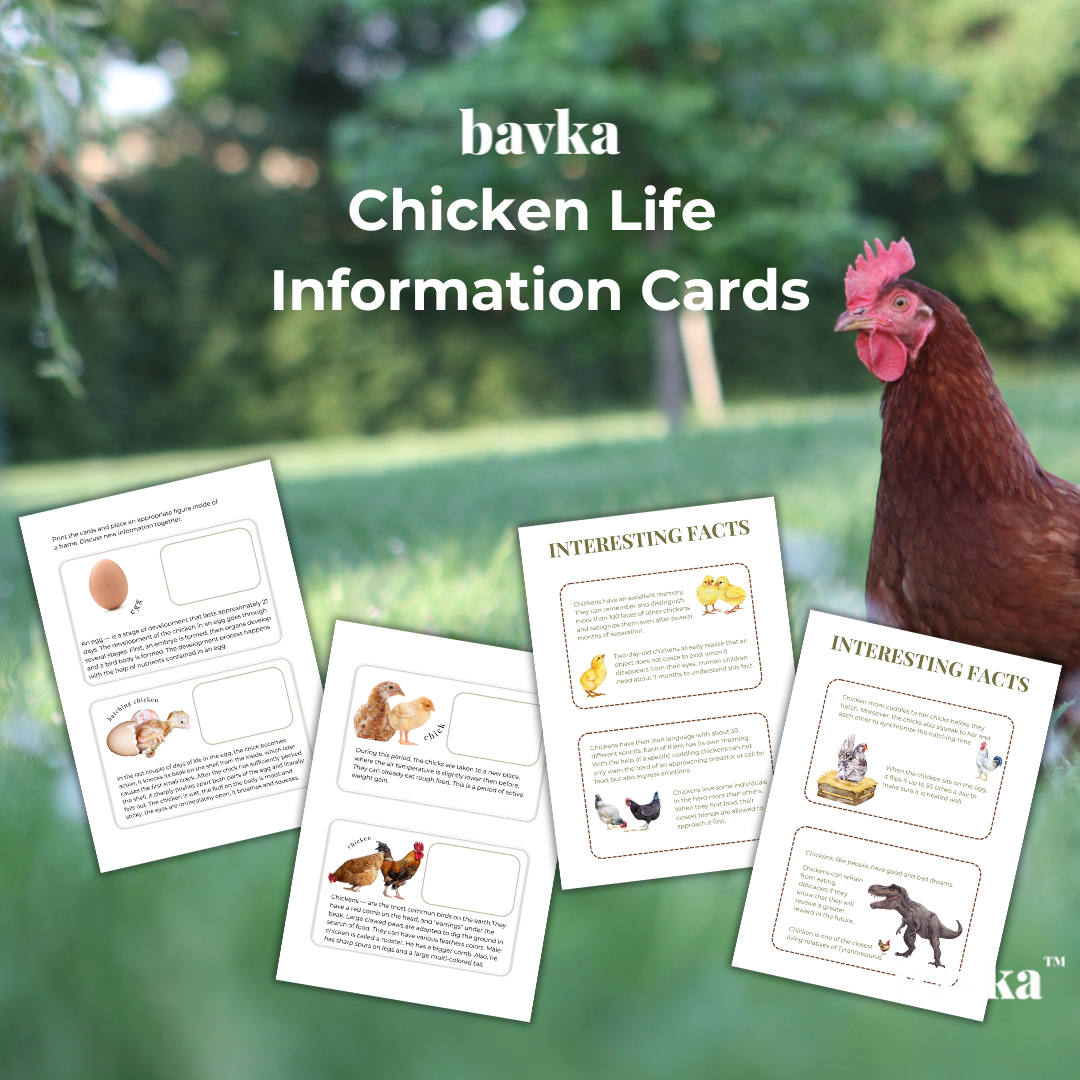 Chicken Unit Study Life Cycle Pack