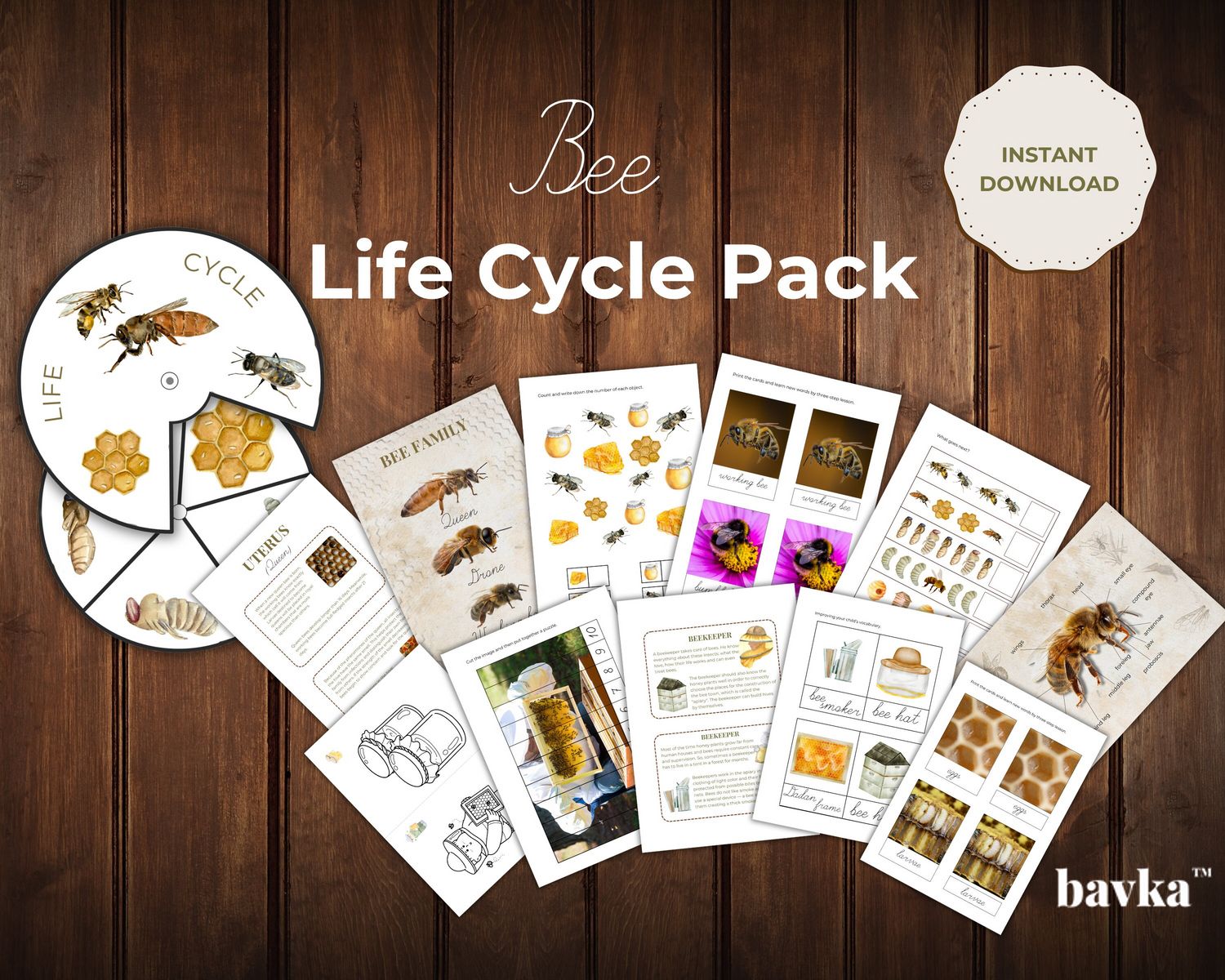 Bee Unit Study Printables Worksheets Life Cycle Pack