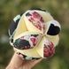 Takane Montessori puzzle grasping ball Premium 4251