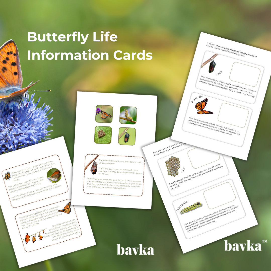 Butterfly Unit Study Life Cycle Worksheets Activity Pack