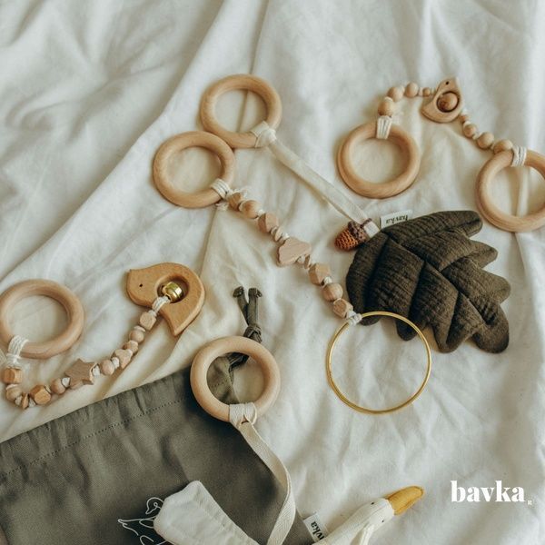 Baby Gym Hangers 06789