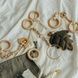Baby Gym Hangers 06789