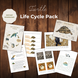 Turtle Unit Study Life Cycle Pack Montessori Homeschool Printable Worksheets