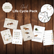 Ant Unit Study Life Cycle Pack Montessori Homeschool Printable Worksheets