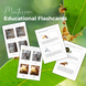 Ladybug Unit Study Life Cycle Pack Montessori Homeschool Printable Worksheets
