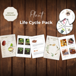 Plant Unit Study Life Cycle Pack Montessori Homeschool Printable Worksheets